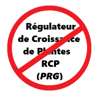 Fleur garantie sans RCP PRG-Free - Le Canebier en Provence2